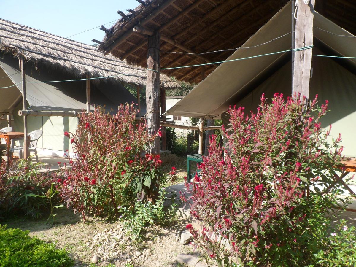 Forest Hideaway Resort Pvt Ltd Bardiya Dış mekan fotoğraf